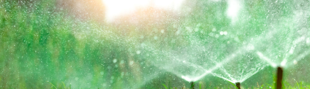 Indianapolis Plumbing Service and Repair 317-784-1870