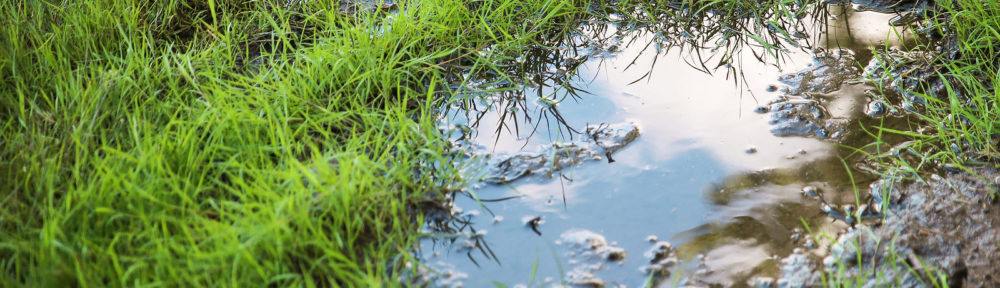 Water Leak Repair Indianapolis IN 317-784-1870
