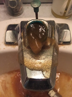 Black Sludge on Faucet Indianapolis