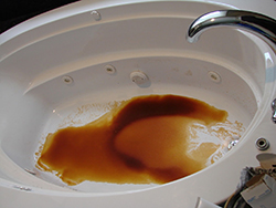 Brown Bathtub Water Indianapolis